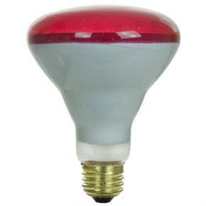 Halco 404049 BR30RED65/5 65W BR30 Red Flood 130 Volt