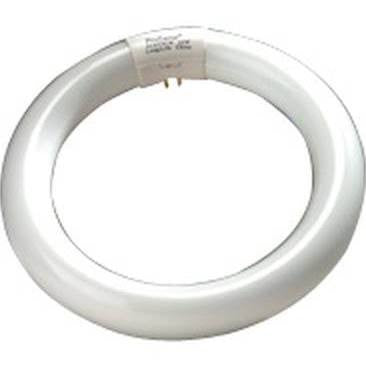 Halco 37501 FC8T9CW 22W Circular T9 Fluorescent Tube Light Bulb