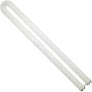 Halco 30303 FB31/841/ECO 31W T8 41000K U Shaped Fluorescent Tube Light Bulb