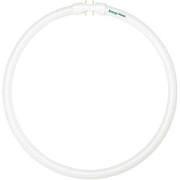 Replacement for Bulbrite 520123 FC12T5/841 40 Watt Circline T5 Cool White Fluorescent Bulb 4100K