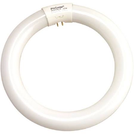 Halco 37503 FC8T9DL 22W FC8 T9 8in Circline Daylight